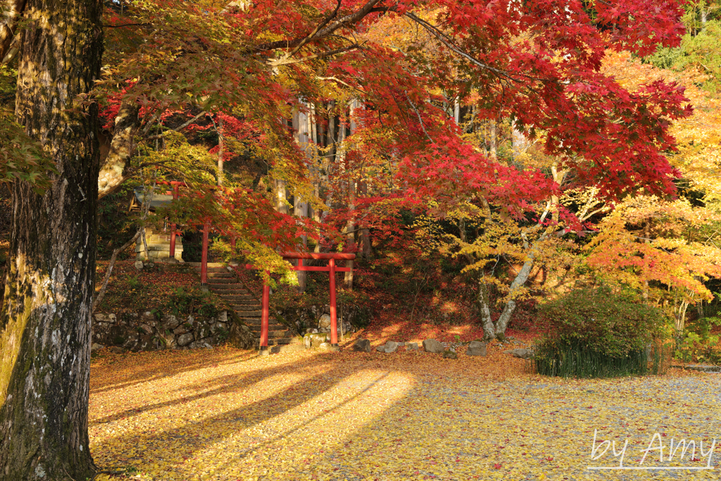 紅葉
