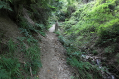 登山道