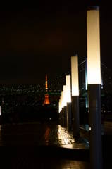 DSC00695
