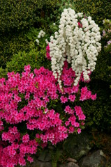 DSC04703