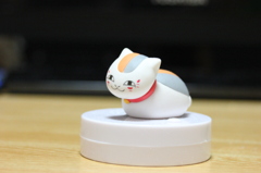 にゃんこ先生　「すぴこっと」