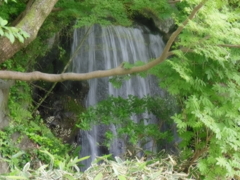 滝
