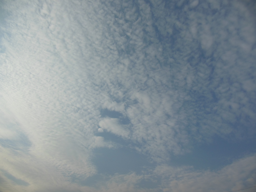 気持ちよさそうな雲…