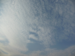 気持ちよさそうな雲…