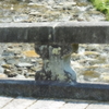 この橋を飛び越えて