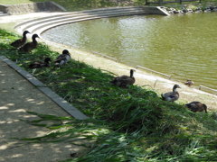 DSCN0179