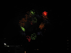 DSCN0335