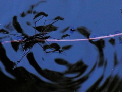 DSCN0116