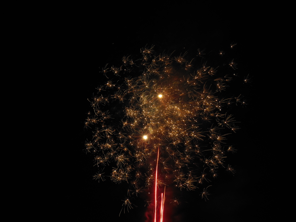 DSCN0268
