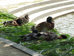 DSCN0194
