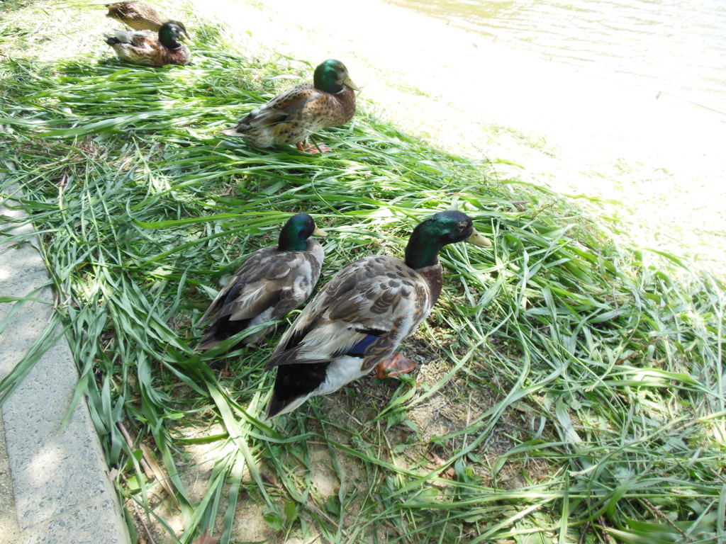 DSCN0193