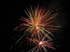DSCN0244