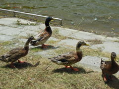 DSCN0140