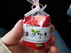 芽が出るおみくじ？