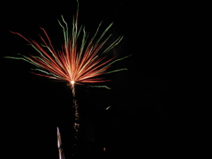 DSCN0256