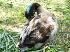 DSCN0191
