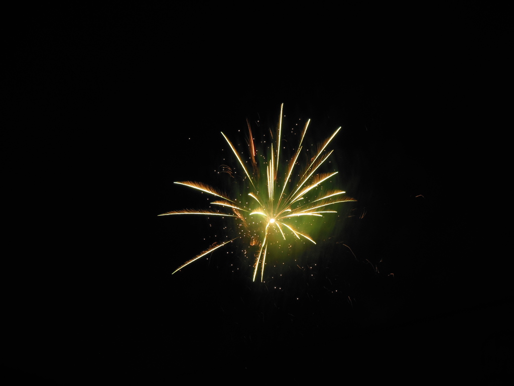 DSCN0247