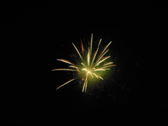 DSCN0247