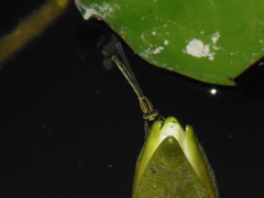 DSCN0114