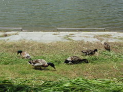 DSCN0139
