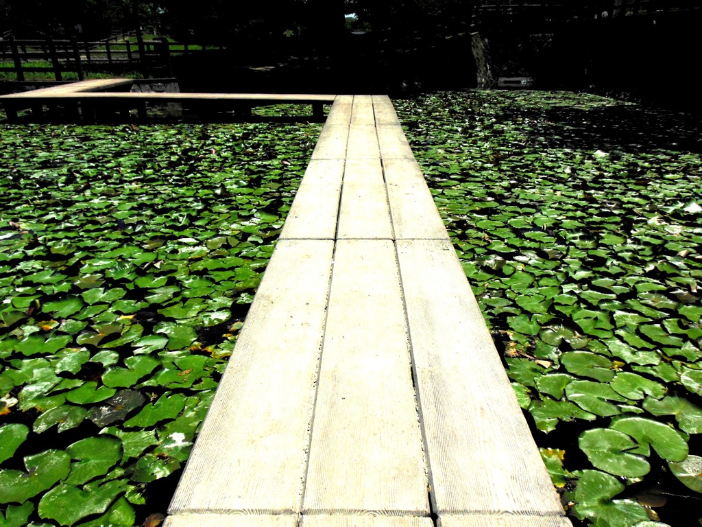DSCN0119