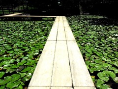 DSCN0119