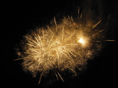DSCN0255