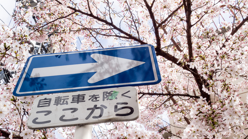 SAKURA