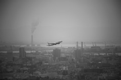 ++ megacity ++