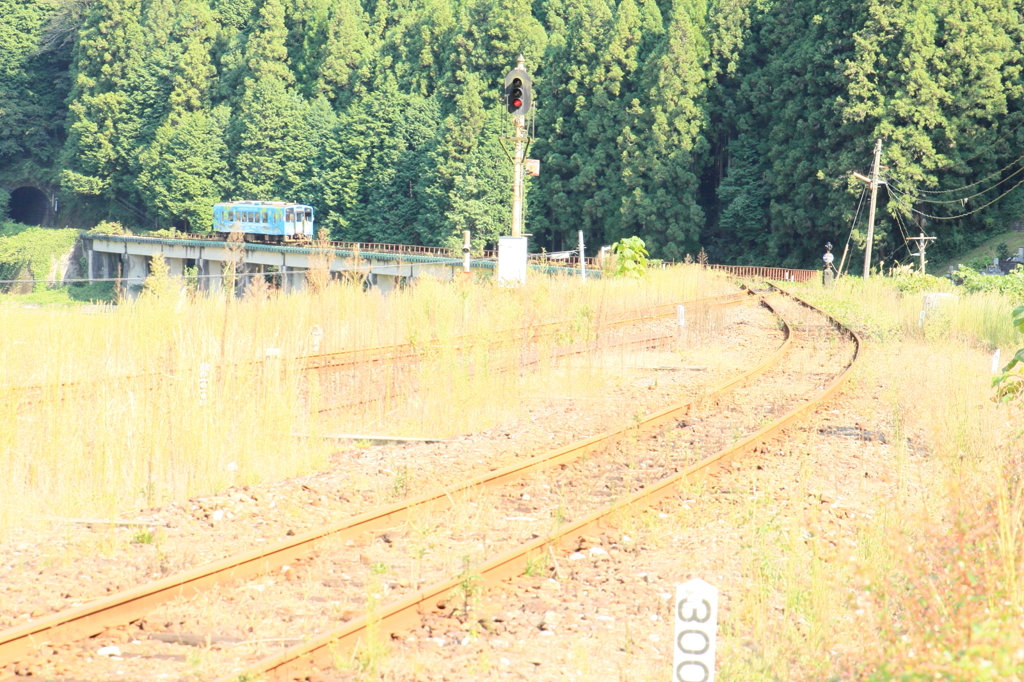 DPP_0005