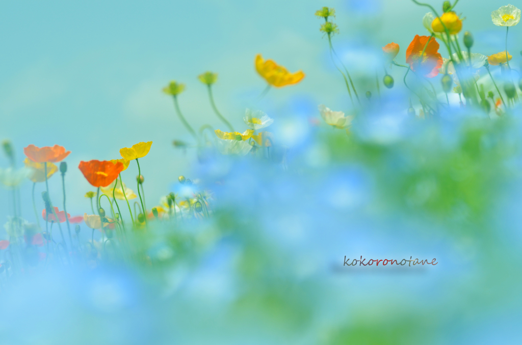 natural・・・。