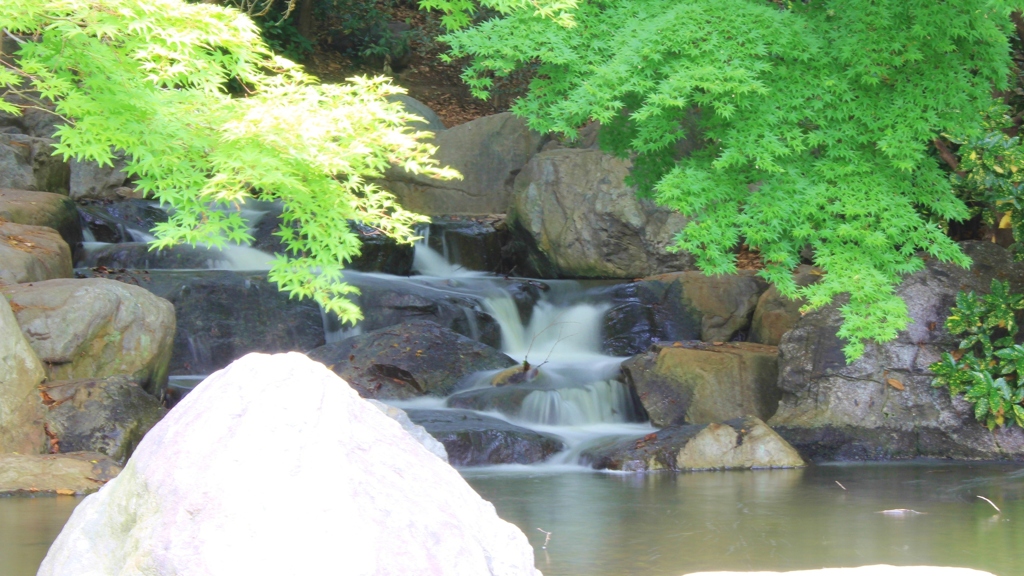 初夏の響き