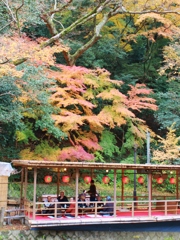 紅葉狩り