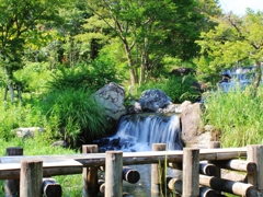 涼を求めて
