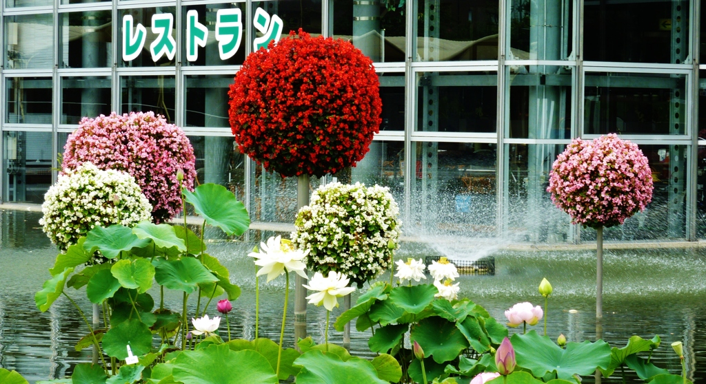 彩り