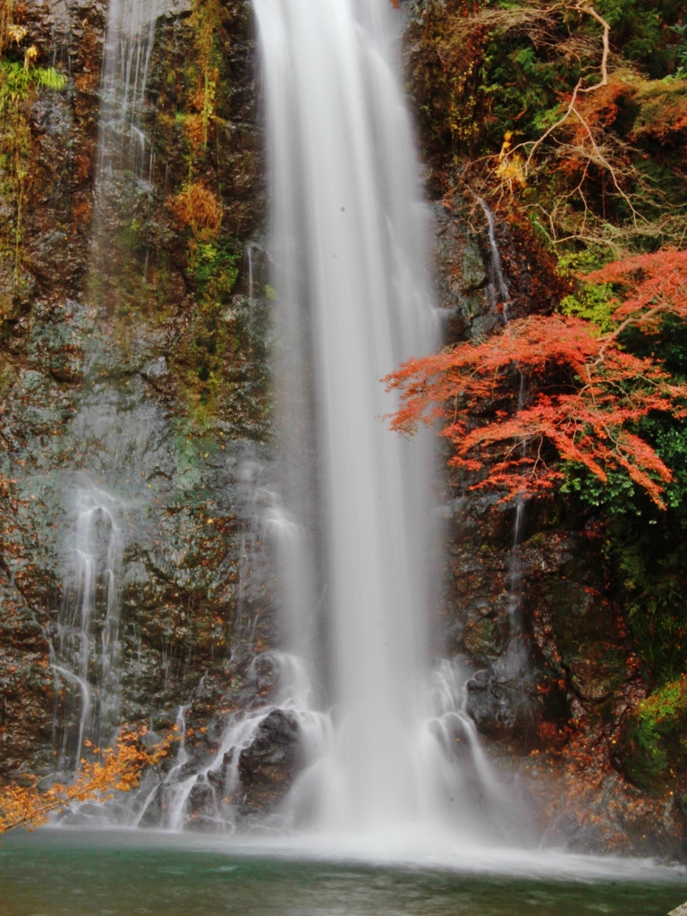 紅葉狩り