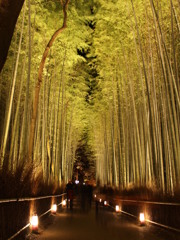 竹林の小径