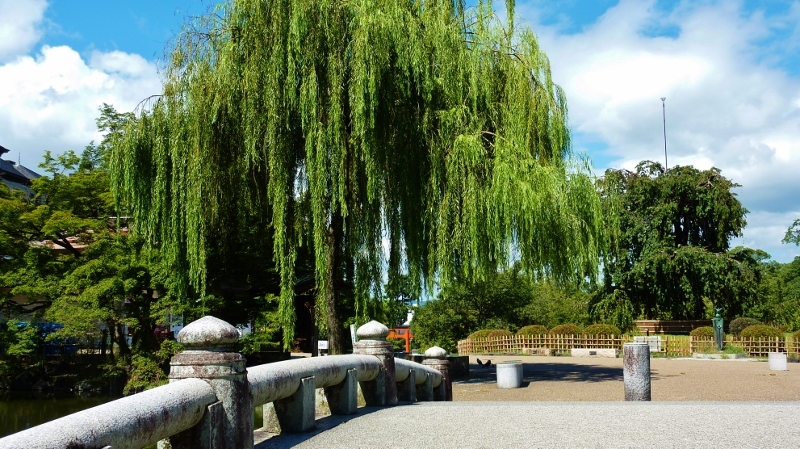 陽のあたる公園