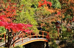 紅葉狩り