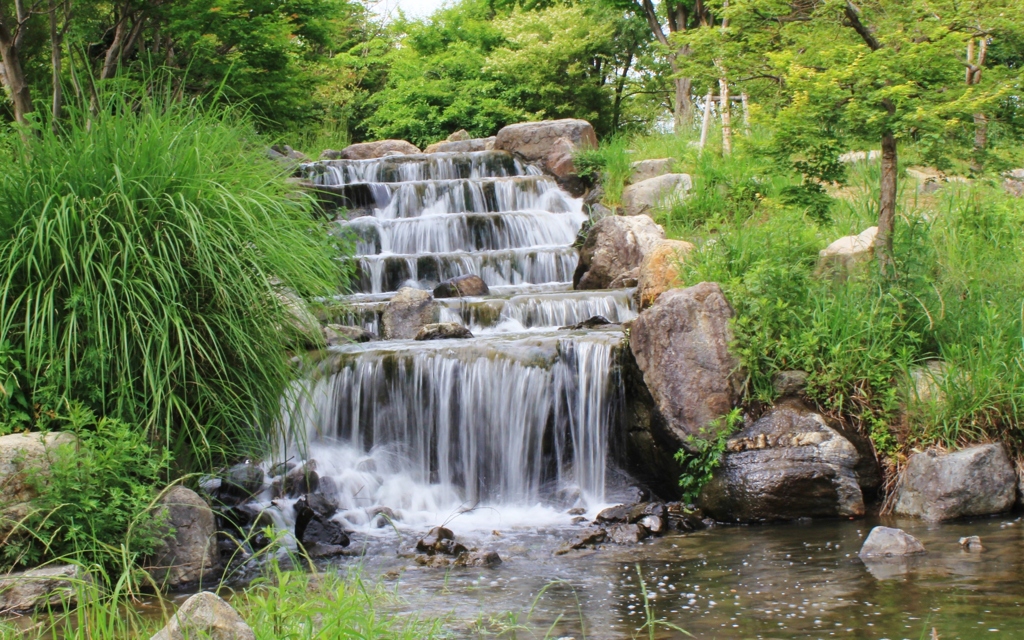 初夏の公園