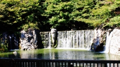 涼を求めて