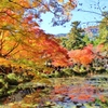 紅葉狩り