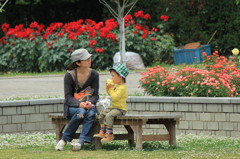 至福の一時・絆