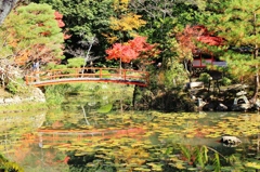紅葉狩り