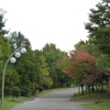 散歩道