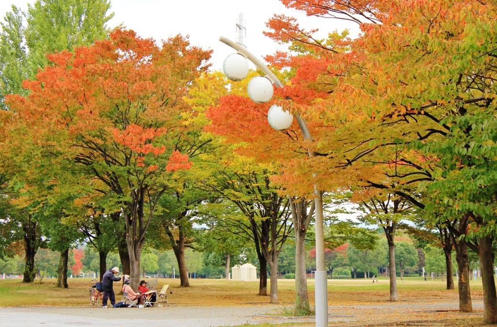 色づく公園