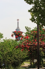 バラの花といのちの塔