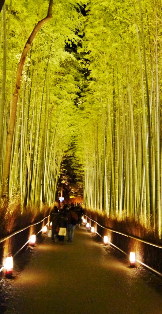 竹林の小径