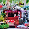 Merry-X'mas