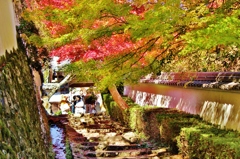 紅葉狩り